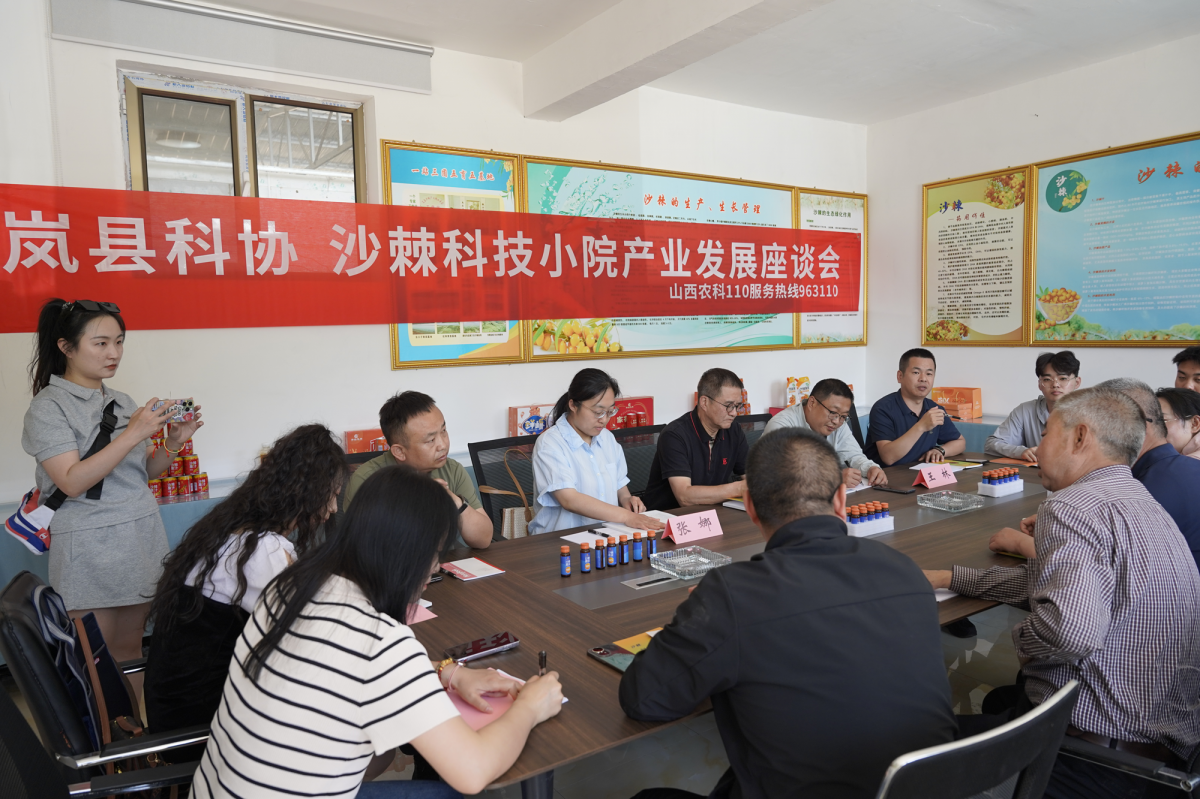 科技专家团队助力岚县沙棘产业发展