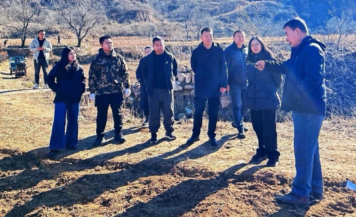 科技赋能农业创新 冬播谷子示范田开播