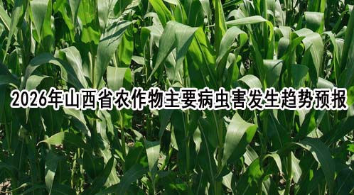 2026年山西省农作物主要病虫害发生趋势预报
