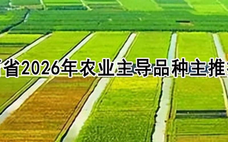 77个品种43项技术！山西省2026年农业主导品种主推技术
