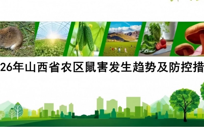 2026年山西省农区鼠害发生趋势及防控措施